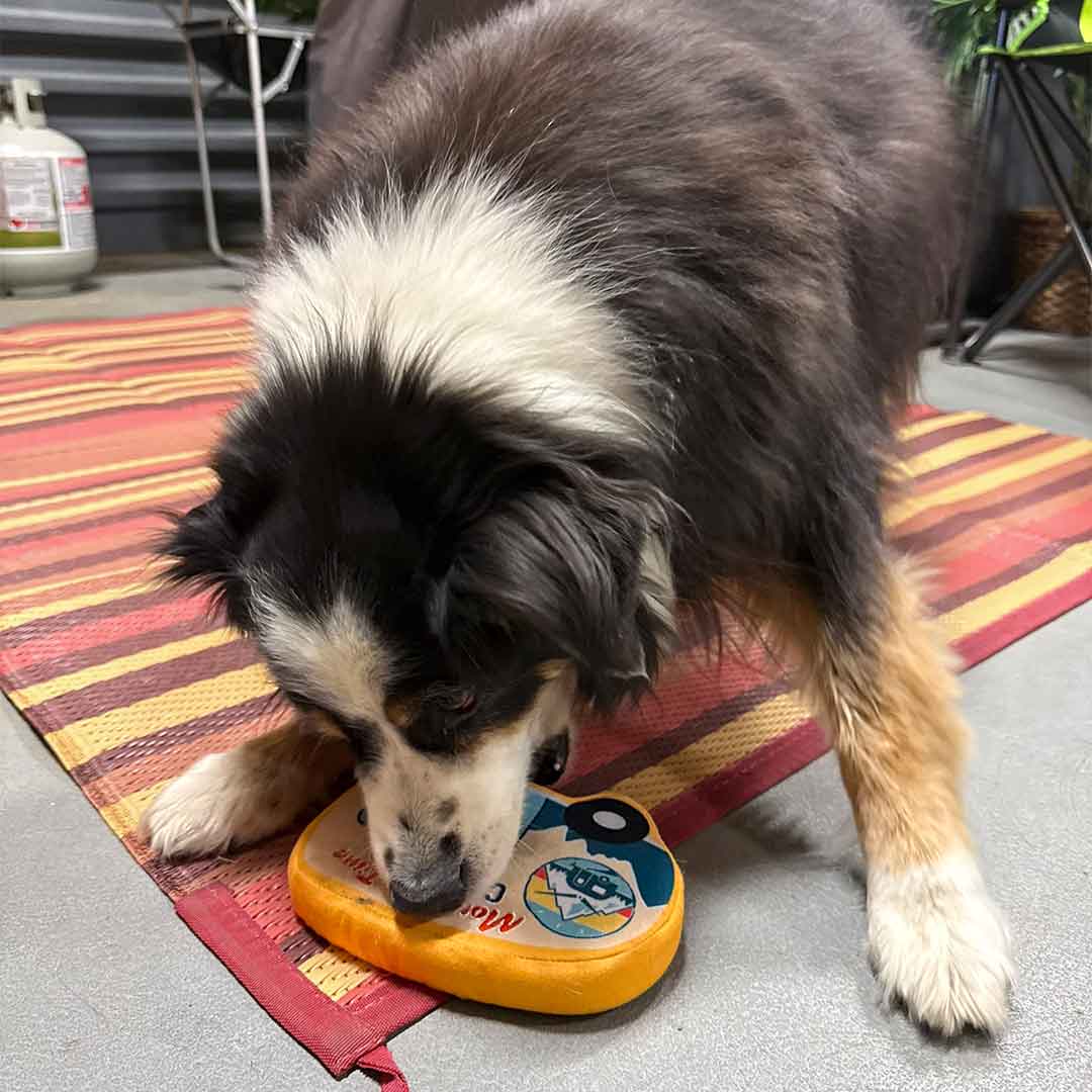 Squeaky Dog Toy - Mountain Time Campers