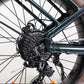 Magnum Bliss | E-Bike 48V 15A