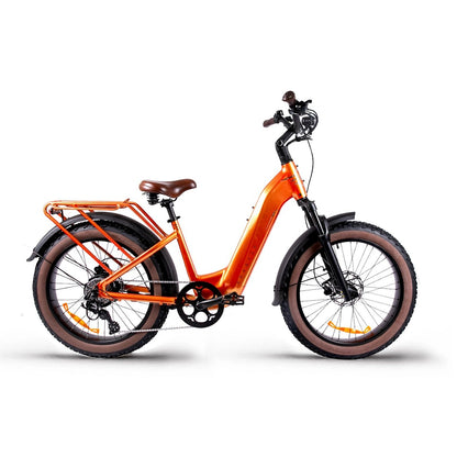 E-Bike Rentals