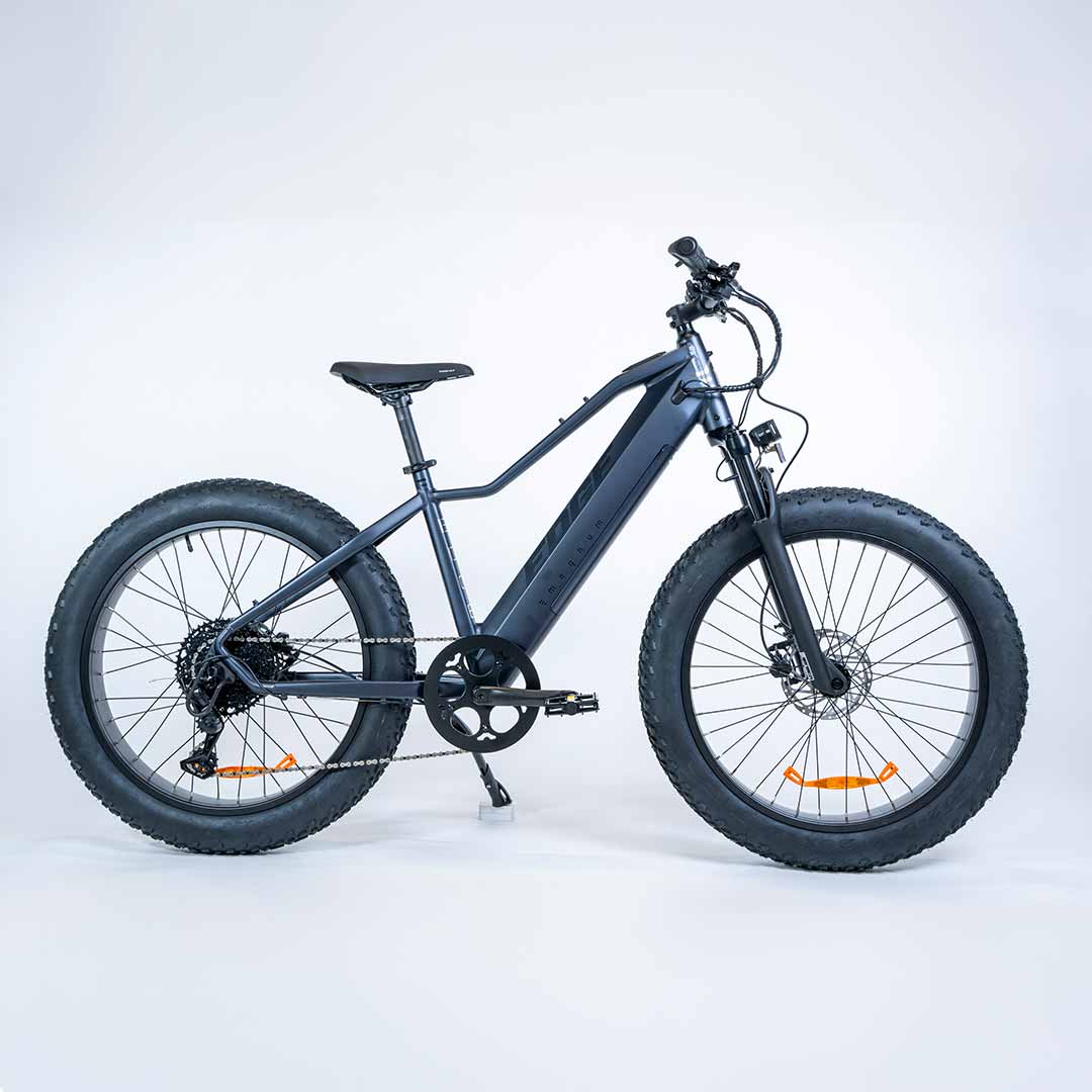 E-Bike Rentals