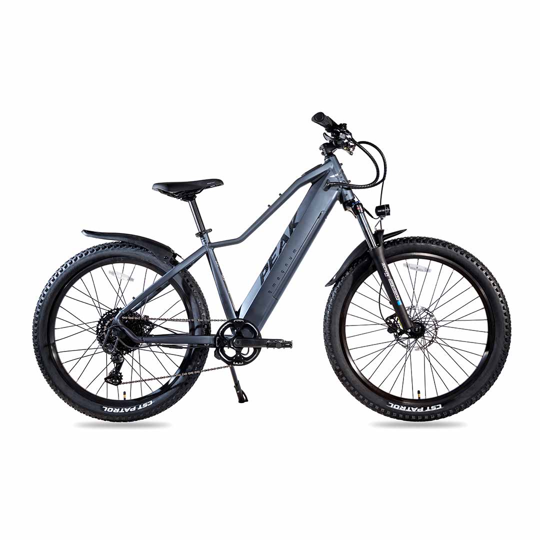 E-Bike Rentals