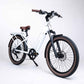 Magnum Wave | E-Bike 48V 15A