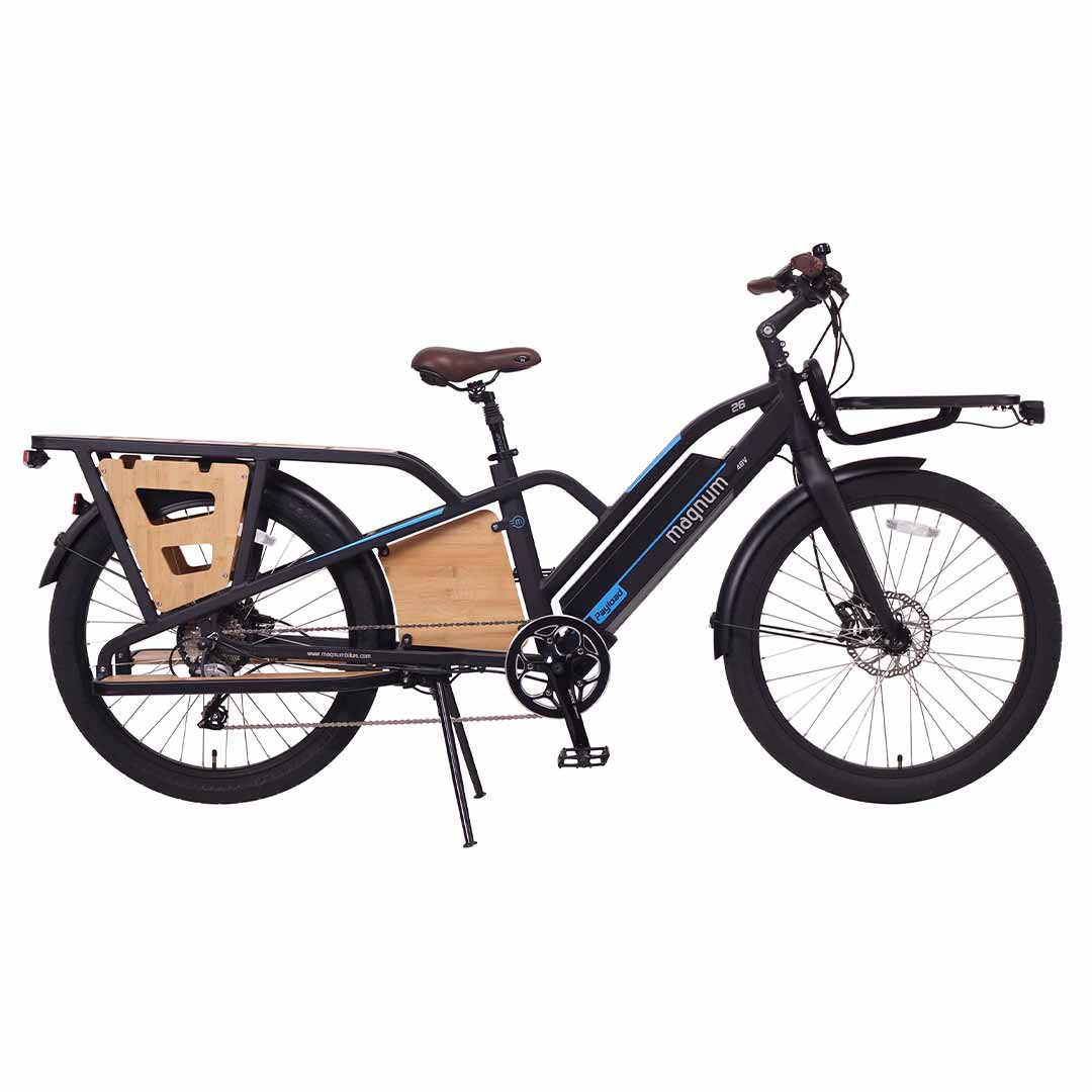 E-Bike Rentals