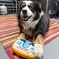 Squeaky Dog Toy - Mountain Time Campers