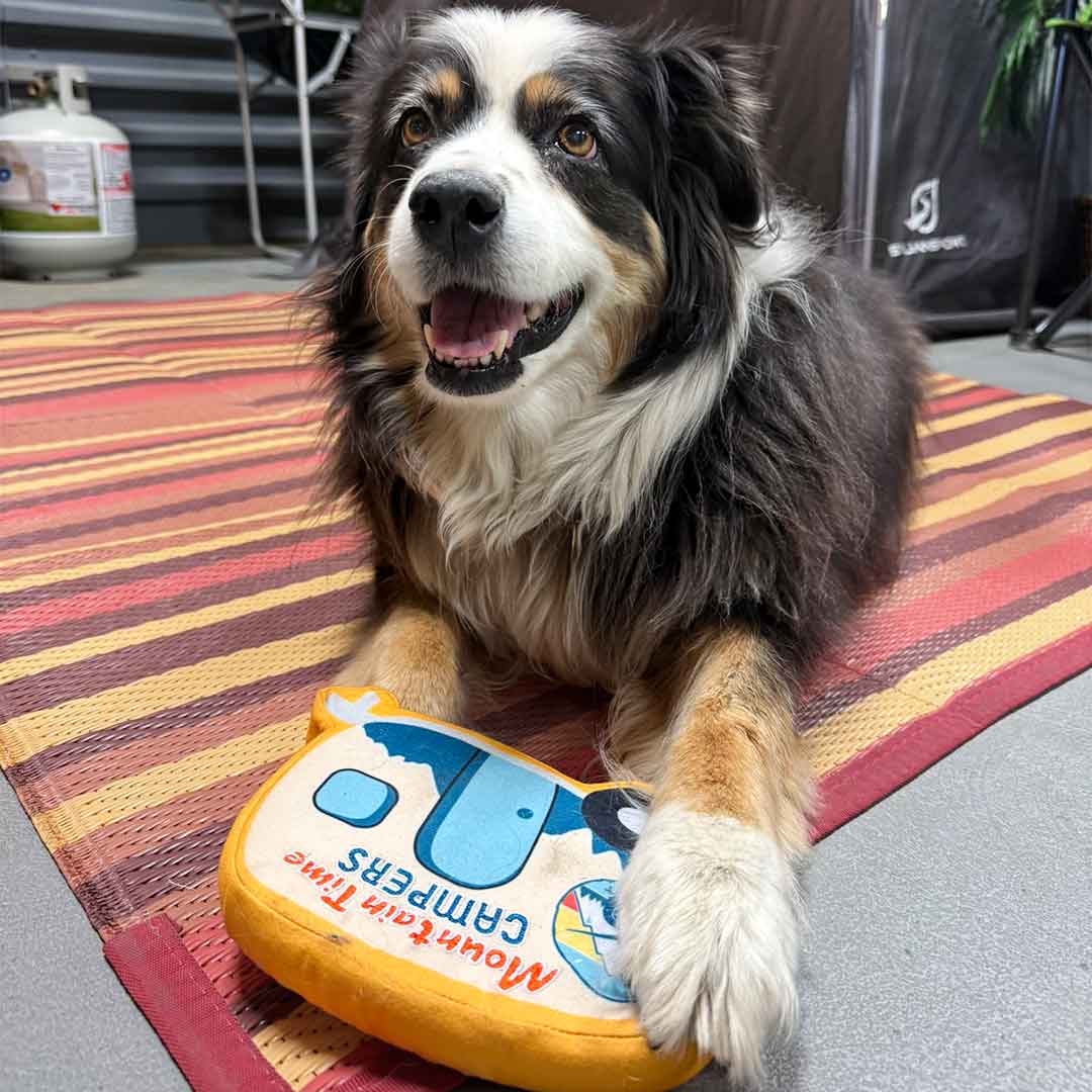 Squeaky Dog Toy - Mountain Time Campers
